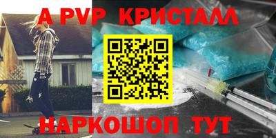 не бодяженный Кингисепп