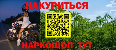 не бодяженный Кингисепп