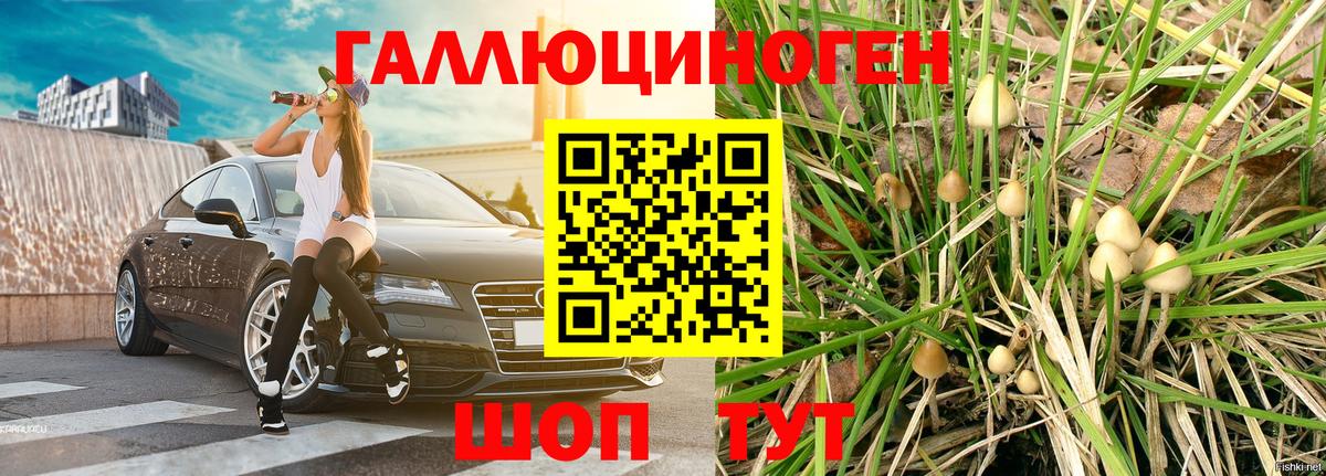 Дмитров  Псилоцибиновые грибы MAGIC MUSHROOMS  Вход с VPN 