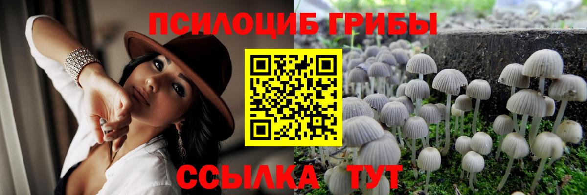 Галлюциногенные грибы мухоморы Дмитров